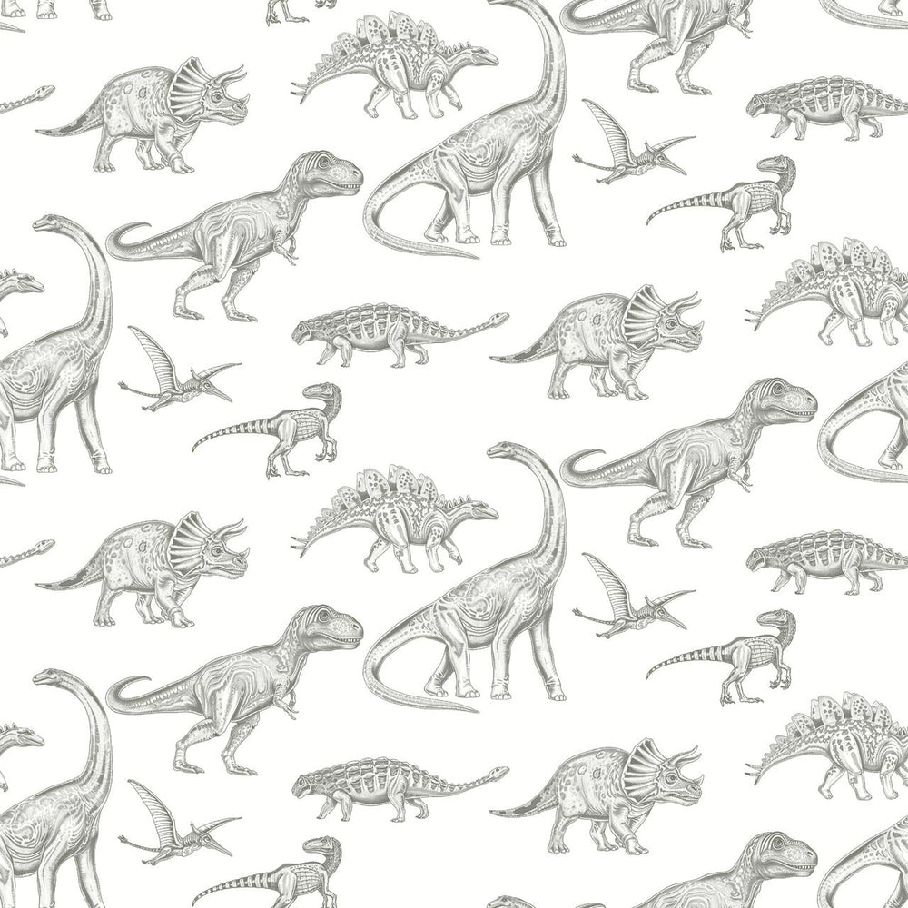 Papel de Colgadura Infantil de Dinosaurios | Dinosaur Sketch Wallpaper