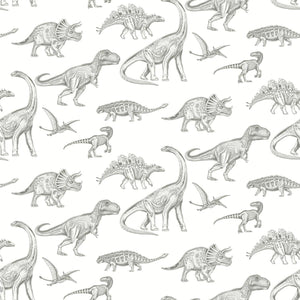 Papel de Colgadura Infantil de Dinosaurios | Dinosaur Sketch Wallpaper