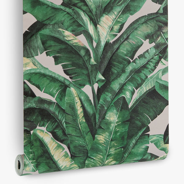 Papel de Colgadura Tropical | Green Banana Leaves Wallpaper