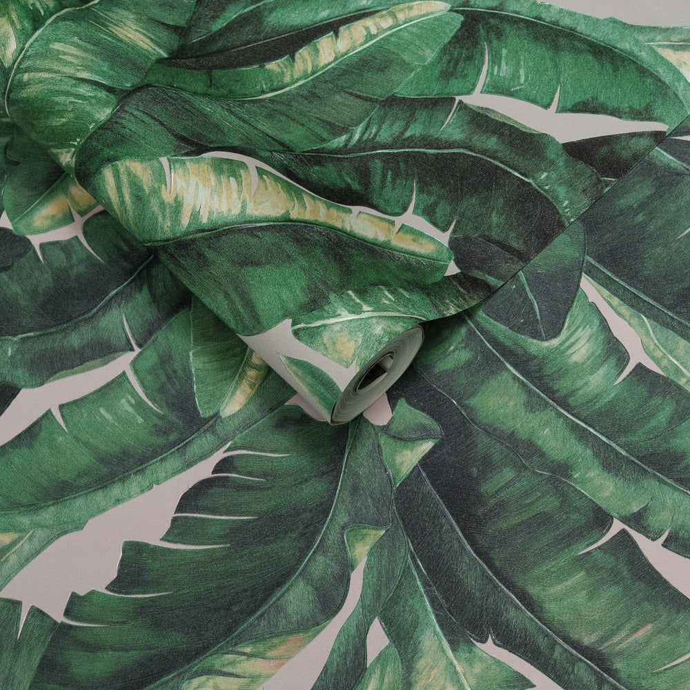 Papel de Colgadura Tropical | Green Banana Leaves Wallpaper