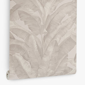 Papel de Colgadura Tropical | Taupe Banana Leaves Wallpaper